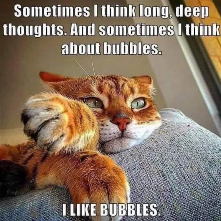 you-like-bubbles.jpg